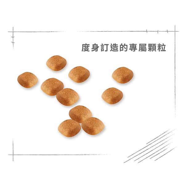 Royal Canin Royal Canin 狗糧 法國皇家狗糧 純種系列 西高地白爹利成犬專屬配方 西高地白爹利成犬糧 WH21 1.5kg 5kg 特寫圖