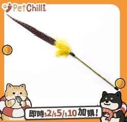 HelloDOG 玩具嚴選 長桿自嗨逗貓棒 山雞尾羽毛 (隨機) (圖片3)