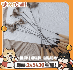 HelloDOG HelloDOG 玩具嚴選 木柄鋼絲逗貓棒 波點羽毛款 1支 正面圖