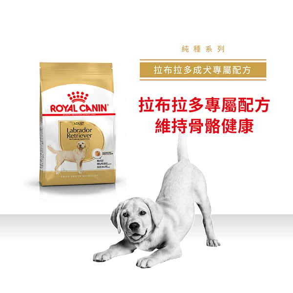 Royal Canin Royal Canin 狗糧 法國皇家狗糧 純種系列 拉布拉多成犬專屬配方 拉布拉多成犬糧 LBD30 12kg 12kg 正面圖