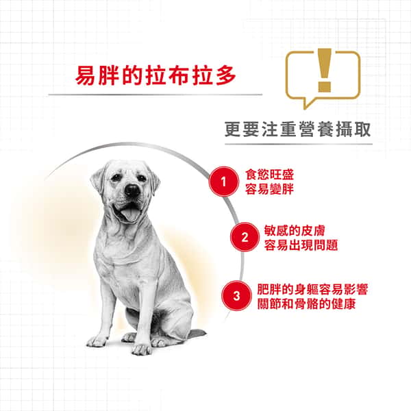Royal Canin Royal Canin 狗糧 法國皇家狗糧 純種系列 拉布拉多成犬專屬配方 拉布拉多成犬糧 LBD30 12kg 12kg 背面圖