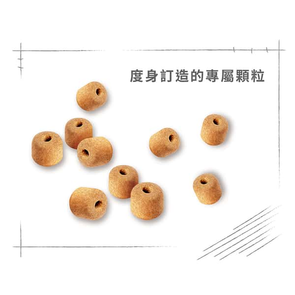 Royal Canin Royal Canin 狗糧 法國皇家狗糧 純種系列 拉布拉多成犬專屬配方 拉布拉多成犬糧 LBD30 12kg 12kg 特寫圖