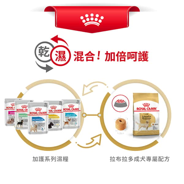 Royal Canin Royal Canin 狗糧 法國皇家狗糧 純種系列 拉布拉多成犬專屬配方 拉布拉多成犬糧 LBD30 12kg 12kg 包裝圖