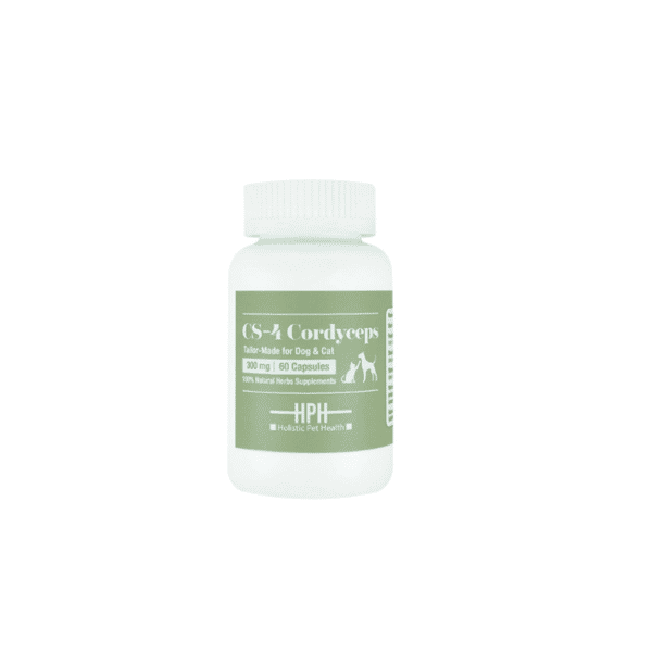 HPH 高純度 CS-4 蟲草膠囊 60粒 (H-1904) (圖片3)