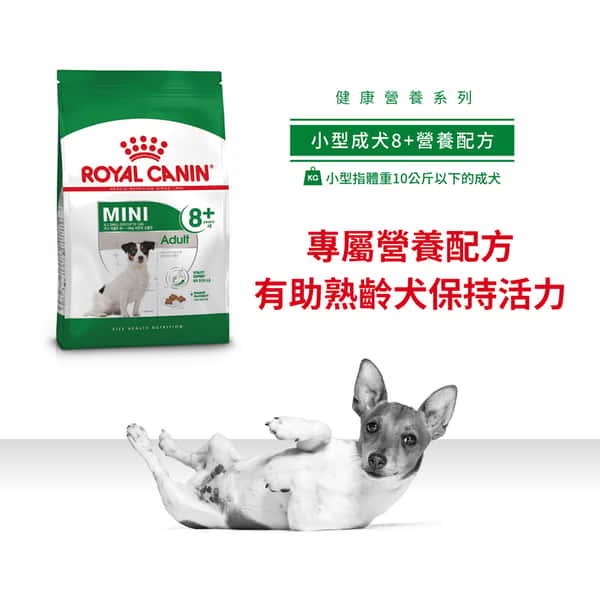 Royal Canin 狗糧 法國皇家狗糧 健康營養系列 小型成犬8+營養配方 小型老犬糧 8+ SPR27 8kg (圖片4)