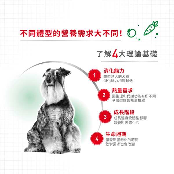 Royal Canin 狗糧 法國皇家狗糧 健康營養系列 小型成犬8+營養配方 小型老犬糧 8+ SPR27 8kg (圖片5)