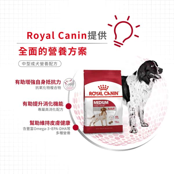 Royal Canin Royal Canin 狗糧 法國皇家狗糧 中型成犬營養配方 M25 15kg 15kg 側面圖