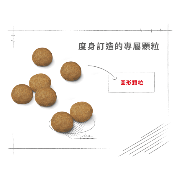 Royal Canin Royal Canin 狗糧 法國皇家狗糧 中型成犬營養配方 M25 15kg 15kg 特寫圖