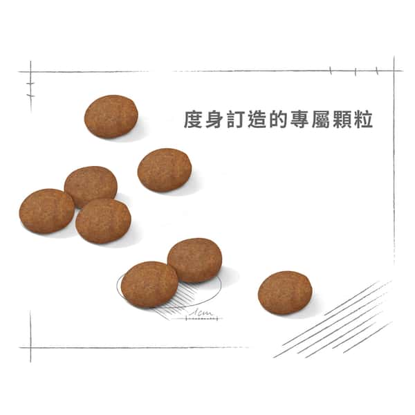 Royal Canin Royal Canin 狗糧 法國皇家狗糧 健康營養系列 中型成犬7+營養配方 中型老犬糧 SM25 7+ 15kg 15kg 特寫圖