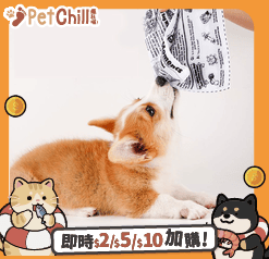 HelloDOG 玩具嚴選 寵物響紙自嗨撕咬發聲玩具 報紙 1件 (圖片1)