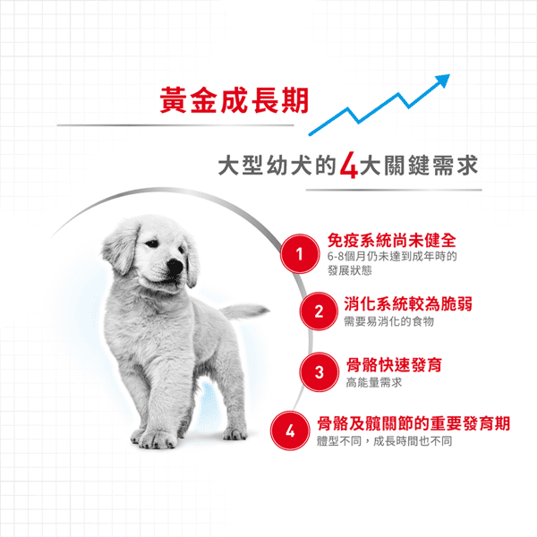 Royal Canin Royal Canin 狗糧 法國皇家狗糧 健康營養系列 大型幼犬營養配方 大型幼犬糧 AGR32 4kg 4kg 正面圖