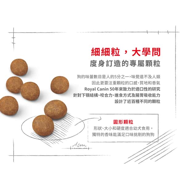 Royal Canin Royal Canin 狗糧 法國皇家狗糧 健康營養系列 大型幼犬營養配方 大型幼犬糧 AGR32 4kg 4kg 特寫圖