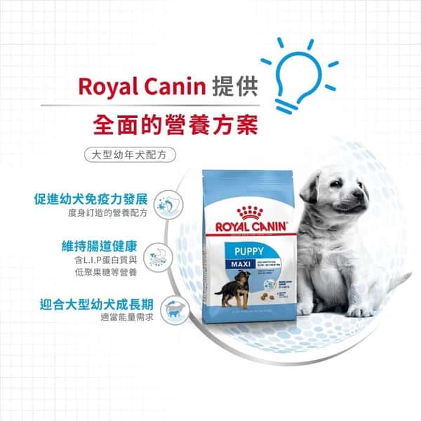 Royal Canin Royal Canin 狗糧 法國皇家狗糧 健康營養系列 大型幼犬營養配方 大型幼犬糧 AGR32 4kg 4kg 正面圖