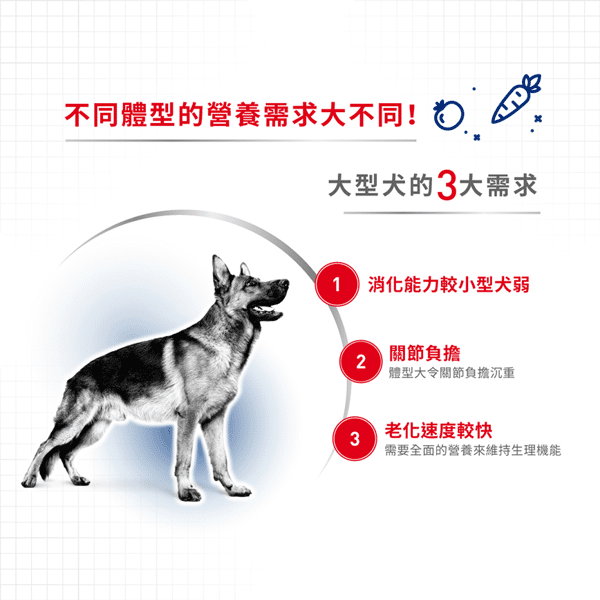 Royal Canin 狗糧 法國皇家狗糧 大型成犬營養配方 GR26 4kg (圖片4)
