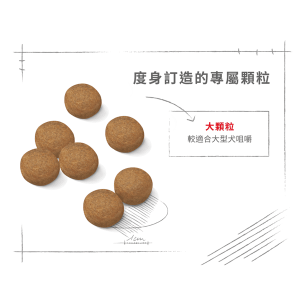 Royal Canin 狗糧 法國皇家狗糧 大型成犬營養配方 GR26 4kg (圖片6)