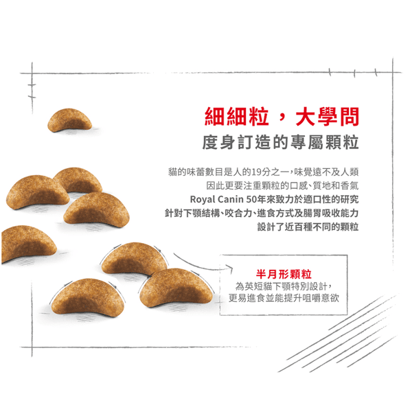 Royal Canin 貓糧 法國皇家貓糧 純種系列 英國短毛幼貓專屬配方 KBSH38 10kg (2520100) (圖片5)