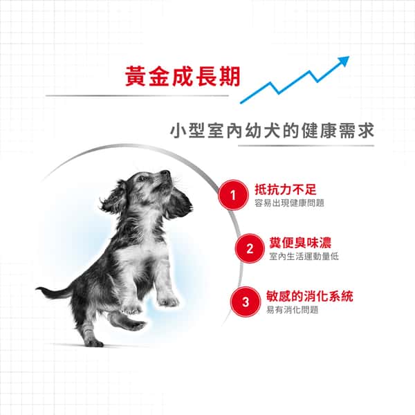 Royal Canin 狗糧 法國皇家狗糧 室內小型幼犬營養配方 ILJ 3kg (2433030011) (圖片1)