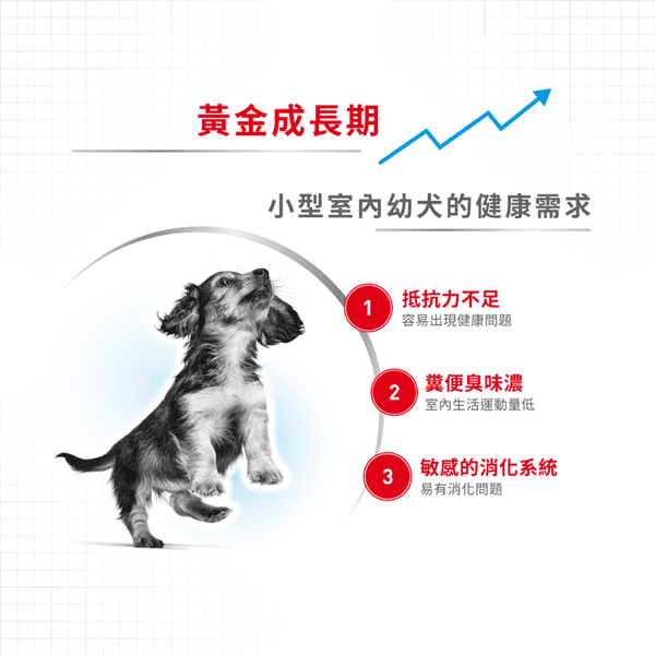 Royal Canin Royal Canin 狗糧 法國皇家狗糧 室內小型幼犬營養配方 ILJ 1.5kg 5kg  背面圖