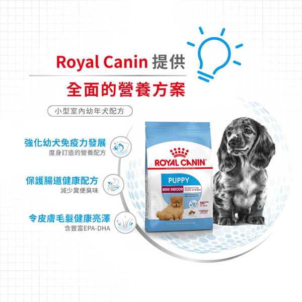 Royal Canin Royal Canin 狗糧 法國皇家狗糧 室內小型幼犬營養配方 ILJ 1.5kg 5kg  背面圖