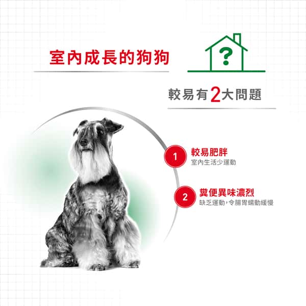 Royal Canin Royal Canin 狗糧 法國皇家狗糧 健康營養系列 室內小型成犬營養配方 室內小型成犬配方 ILA 3kg 3kg 背面圖