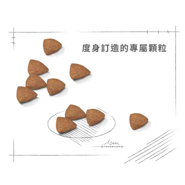 Royal Canin Royal Canin 狗糧 法國皇家狗糧 健康營養系列 室內小型成犬營養配方 室內小型成犬配方 ILA 1.5kg 5kg 特寫圖