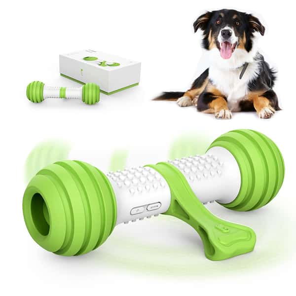GiGwi GiGwi Petgeek電動玩具 智能骨頭 正面圖