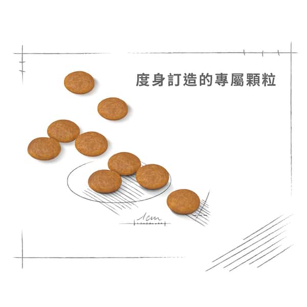 Royal Canin Royal Canin 狗糧 法國皇家狗糧 加護系列 小型犬皮膚舒緩加護配方 小型犬皮膚敏感專用配方 DCMI 8kg 8kg 特寫圖