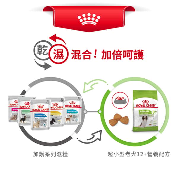 Royal Canin Royal Canin 狗糧 法國皇家狗糧 健康營養系列 超小型老犬12+營養配方 XSA 12+ 1.5kg 5kg  包裝圖
