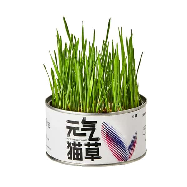 PETKIT 元氣貓草罐 (pks1t) (圖片1)