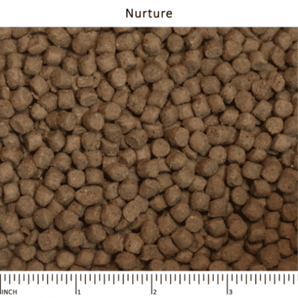 Wysong 美國威森 Original Diets 原始飲食系列 NURTURE™ 納初 38%蛋白幼貓初乳乾糧 5lb (W38) (圖片4)