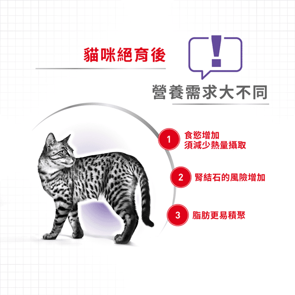 Royal Canin 貓糧 法國皇家貓糧 健康營養系列 絕育成貓營養配方 STL37 2kg (2272000) (圖片4)