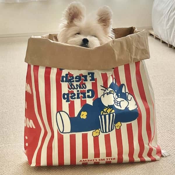 HelloDOG HelloDOG 寵物床墊 玩具嚴選 貓狗解壓躲藏窩 躲貓貓爆米花 特寫圖