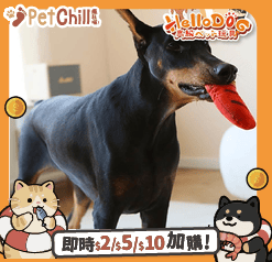 HelloDOG 玩具嚴選 狗狗嗶嗶發聲玩具 仿真食物 1件 (隨機款) (圖片3)