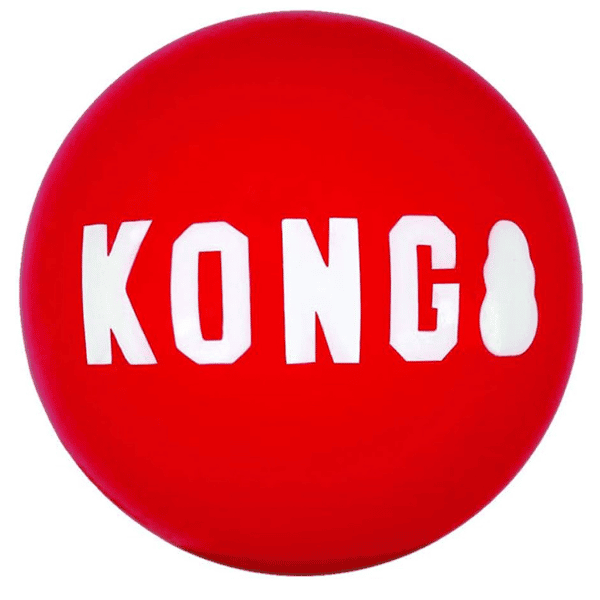 KONG Signature Ball 6cm (67386) (圖片1)