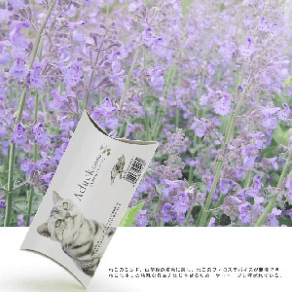 Aduck 放鬆減壓興奮天然貓薄荷 (圖片1)