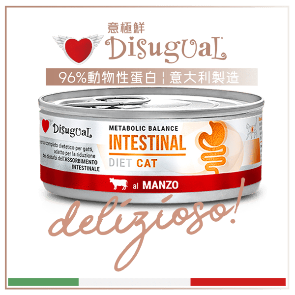 Disugual Veterinary Diets Canned Cat Food Digestive Support Beef Recipe 85g (DSDTG031) | Made in Italy (圖片1)