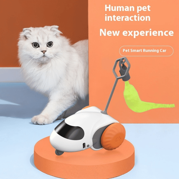 HelloDOG 貓玩具 貓咪自嗨解悶玩具 寵物電動遙控跑車 (隨機款) (圖片1)
