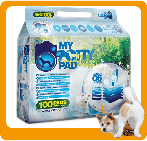 My My Potty Pad 殿堂吸 寵物尿墊 狗尿墊 狗尿片 原味 [33x45 S碼 1PADS]   正面圖