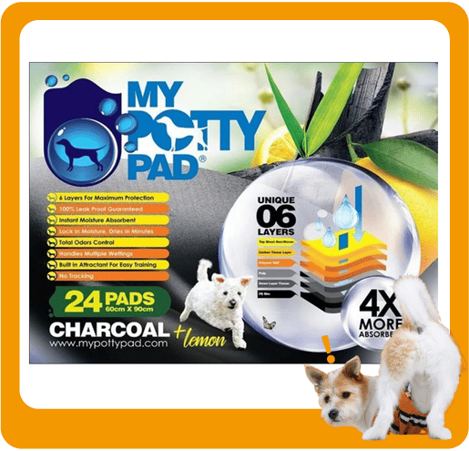 My My Potty Pad 活性炭殿堂吸 寵物尿墊 狗尿墊 狗尿片 檸檬味 [60x90 L碼 24PADS]   正面圖