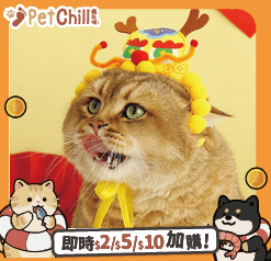 HelloDOG 貓玩具 虎帽龍頭 1件 (隨機顏色) (圖片1)