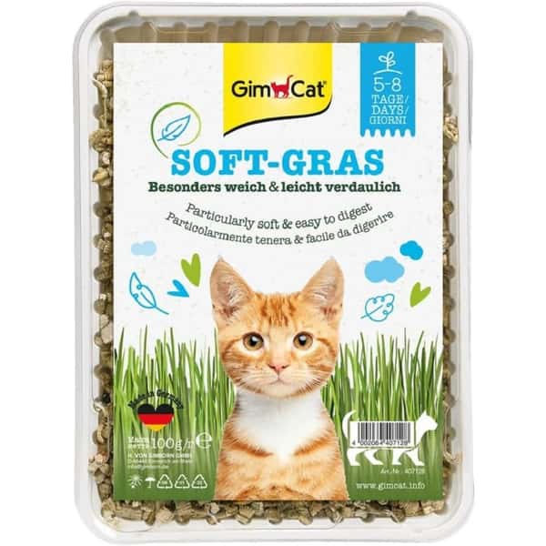Gim Gim Cat  特級幼嫩多汁種植貓草 100g 100g  正面圖