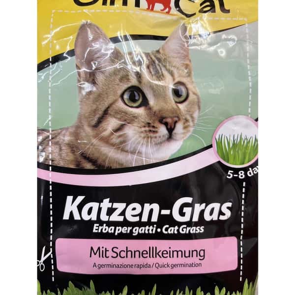 Gim Cat (Pink Bag) can grow 100G of cat grass very quickly during its growth period (圖片1)