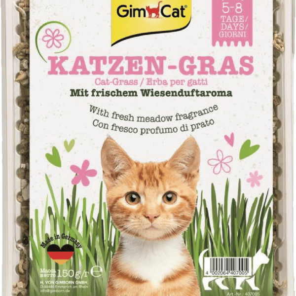 Gim Cat (粉紅盒) 香味種植貓草 150G (圖片1)