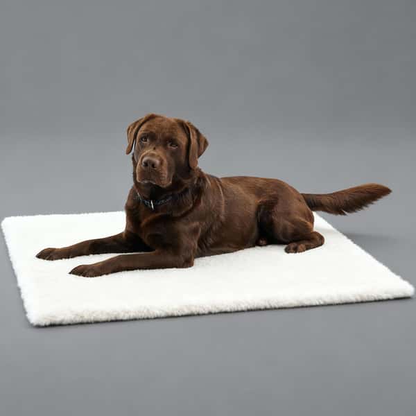 Full Full Creation 人造羊毛床 thermo bed 48cm x 38cm   正面圖