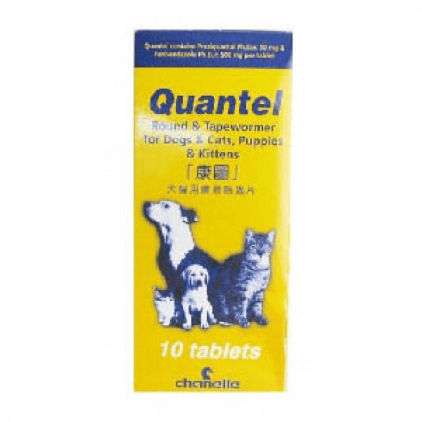 Chanelle康圖 寵物用廣效除蟲片 CP02 10片 (貓犬用) (圖片1)
