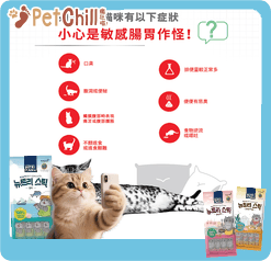 Royal Canin Royal Canin 法國皇家 貓濕糧 成貓消化道加護主食濕糧  85g 3104800 85g  背面圖