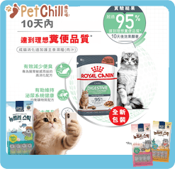 Royal Canin Royal Canin 法國皇家 貓濕糧 成貓消化道加護主食濕糧  85g 3104800 85g  特寫圖