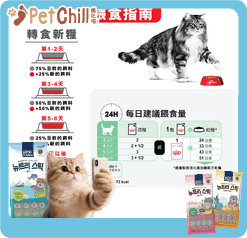 Royal Canin Royal Canin 法國皇家 貓濕糧 成貓消化道加護主食濕糧  85g 3104800 85g  正面圖