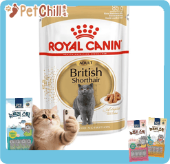 Royal Canin Royal Canin 法國皇家 貓濕糧 英國短毛成貓專屬主食濕糧 85g 85g 正面圖
