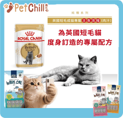 Royal Canin Royal Canin 法國皇家 貓濕糧 英國短毛成貓專屬主食濕糧 85g 85g 正面圖